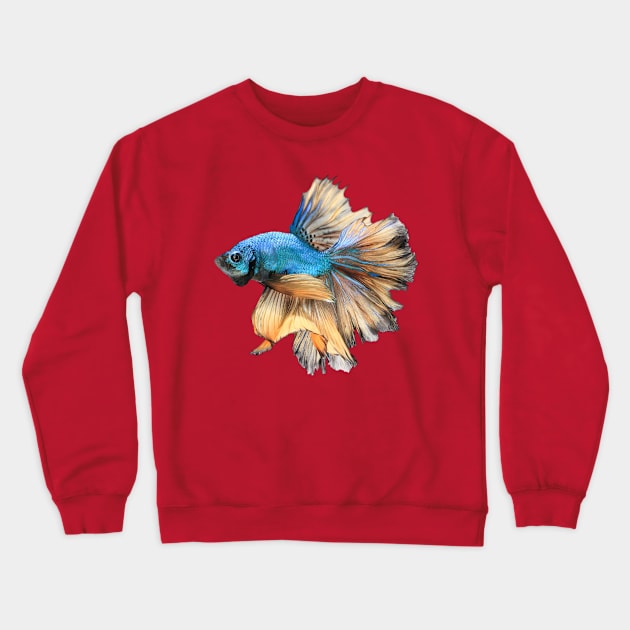 Blue yellow halfmoon bettafish Crewneck Sweatshirt by MACIBETTA